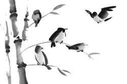 Birds playing in trees