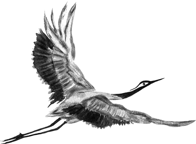 Crane: symbol of healing and energy expansion