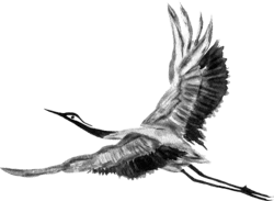 Crane for healing energy expansion flying left