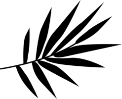 Fern to decorate Reiki Class Studio