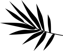 Fern to decorate Reiki Class Studio