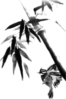 Bamboo Bird Reiki Music