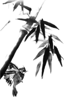 Bamboo - a typical symbol of healing meditation