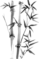 Reiki healing amid bamboos?