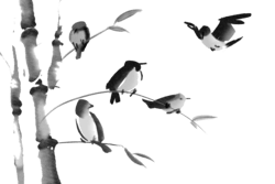 Birds playing in trees