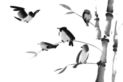 Birds playing in trees