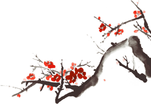 Cherry Blossom for Healing Festival