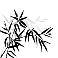 Tree Energy spiritual healing