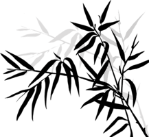 Tree Energy spiritual healing